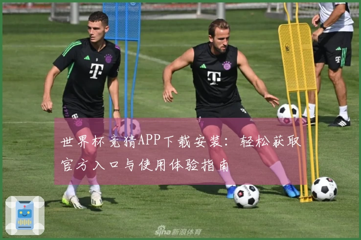 世界杯竞猜APP下载安装：轻松获取官方入口与使用体验指南
