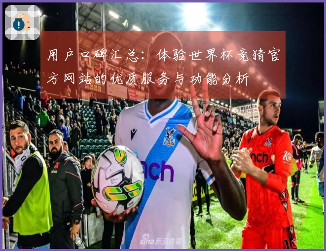 用户口碑汇总：体验世界杯竞猜官方网站的优质服务与功能分析
